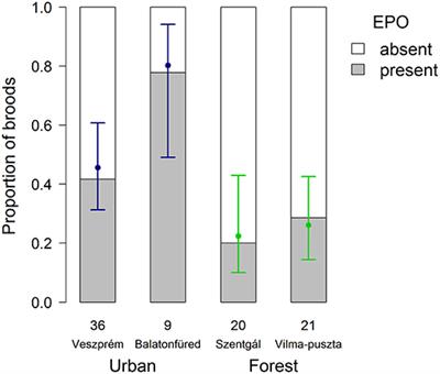 Higher Frequency of Extra-Pair Offspring in Urban Than Forest Broods of Great Tits (Parus major)